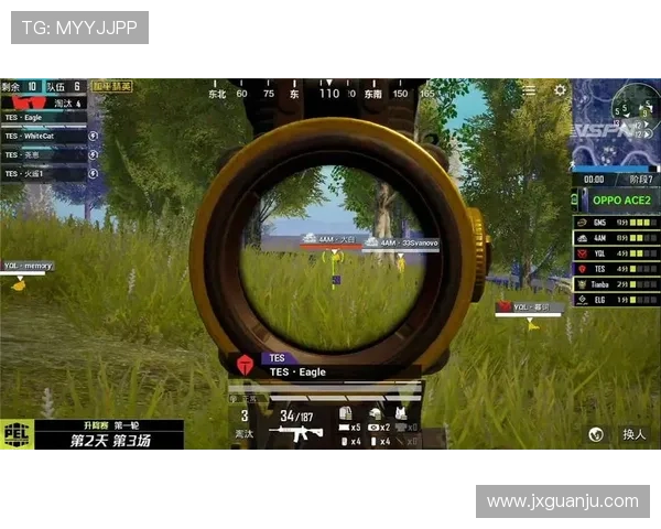 和平精英热议FPX实力之争引发的多方观点与讨论