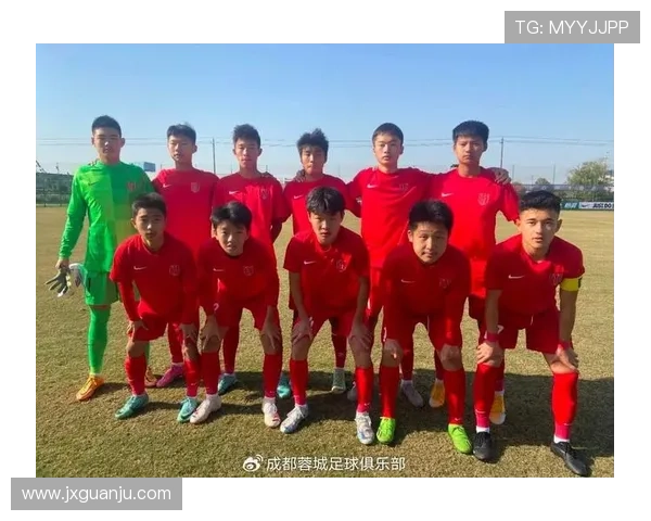 成都排球队灵活性探讨：提升战术与团队协作的关键因素