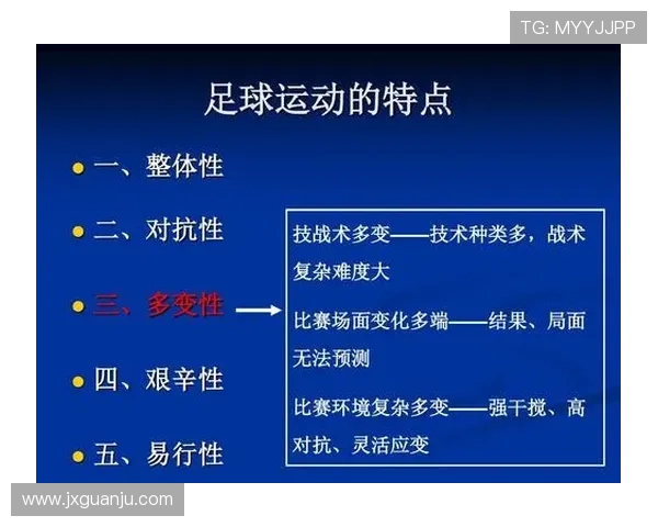 成都篮球队灵活应变的战术解析与未来发展展望