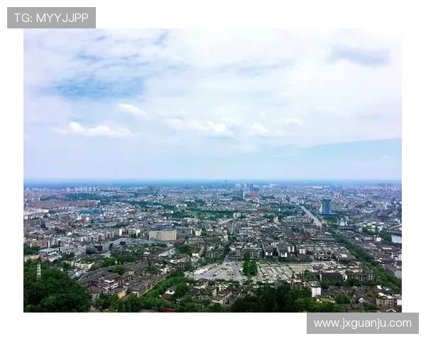 成都足球队在钻石联赛中的崛起与挑战全景回顾